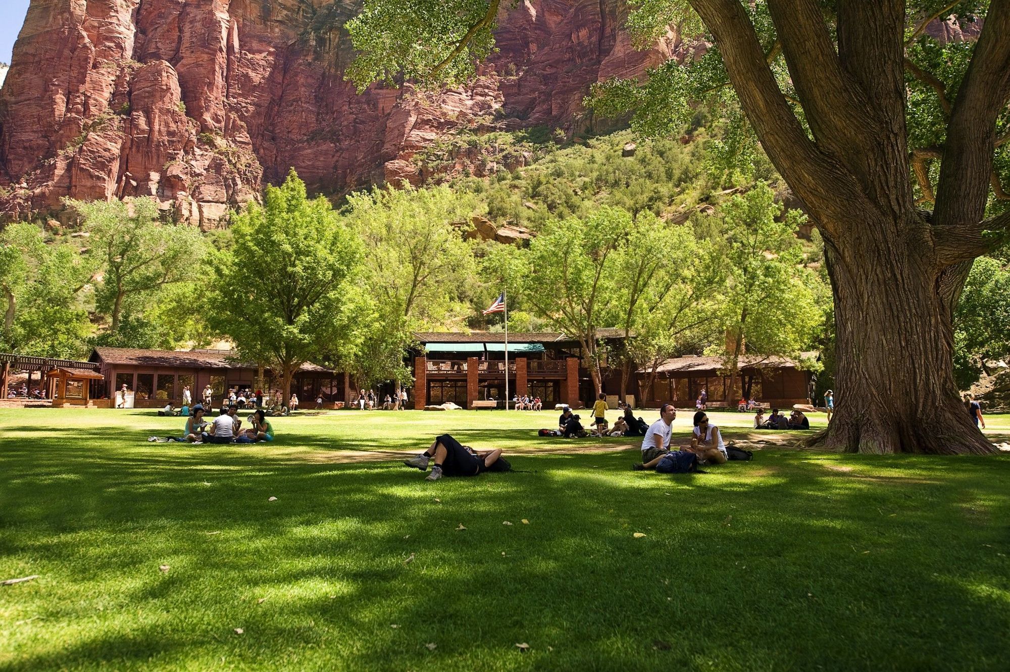 Zion Lodge Спрингдейл Екстер'єр фото