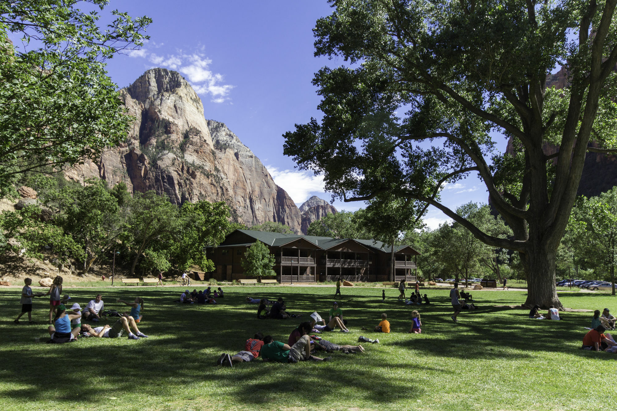 Zion Lodge Спрингдейл Екстер'єр фото