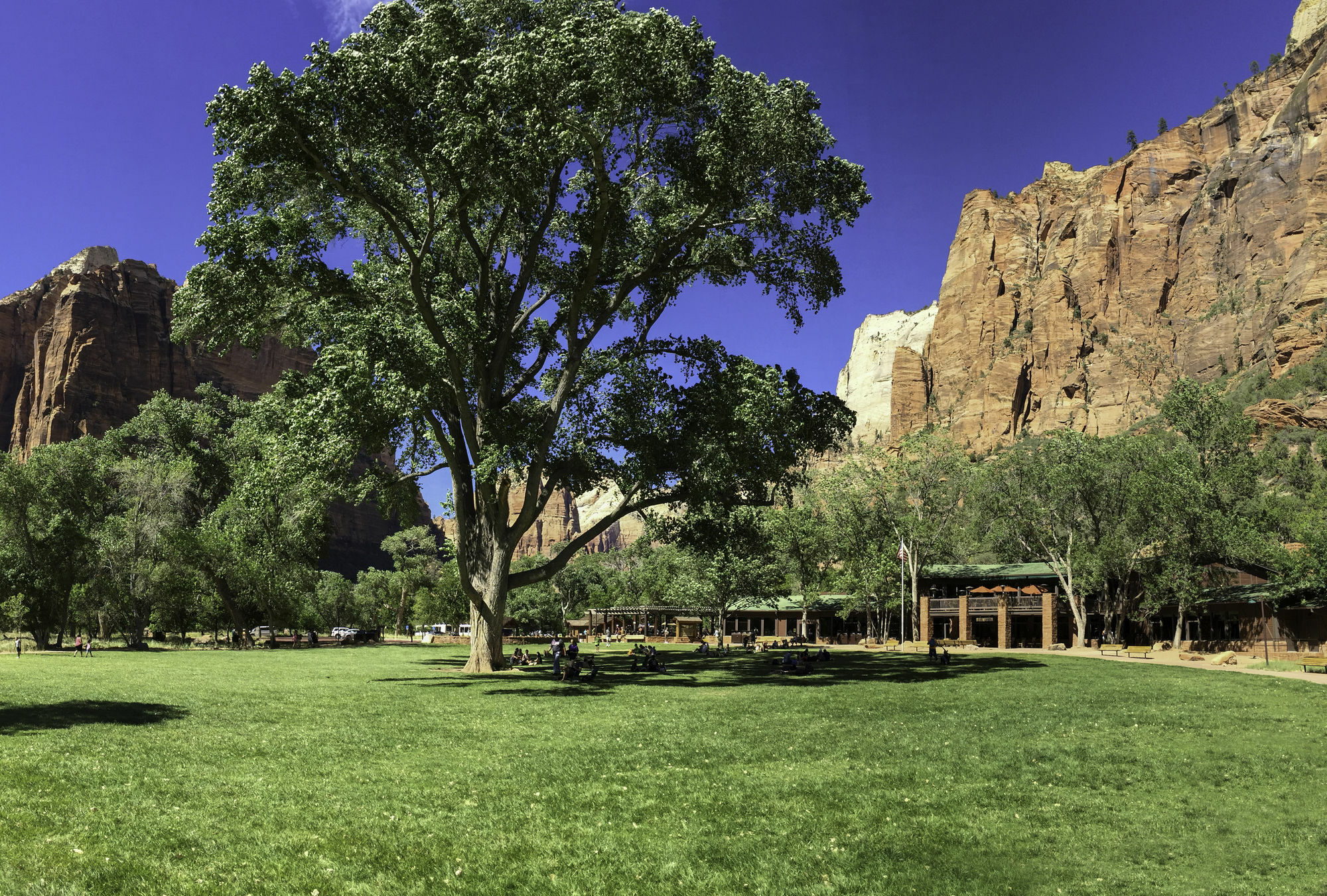 Zion Lodge Спрингдейл Екстер'єр фото