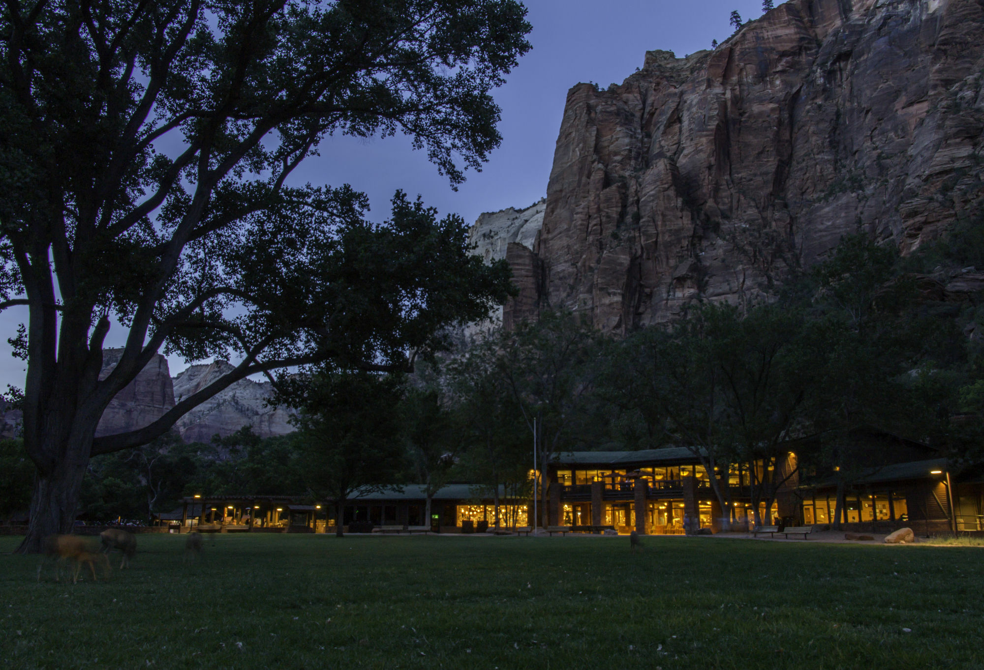 Zion Lodge Спрингдейл Екстер'єр фото